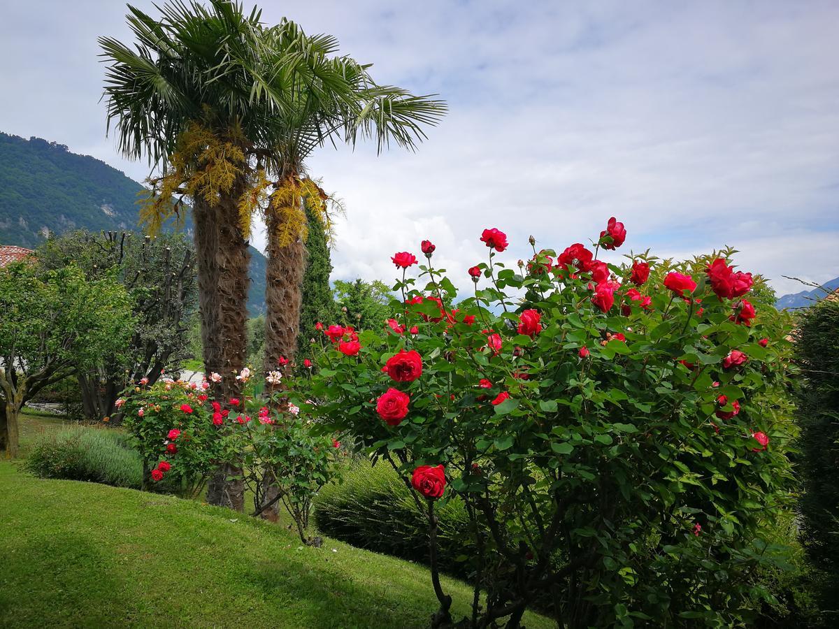 Bellagio Lake View Villa Oliveto Lario Bagian luar foto