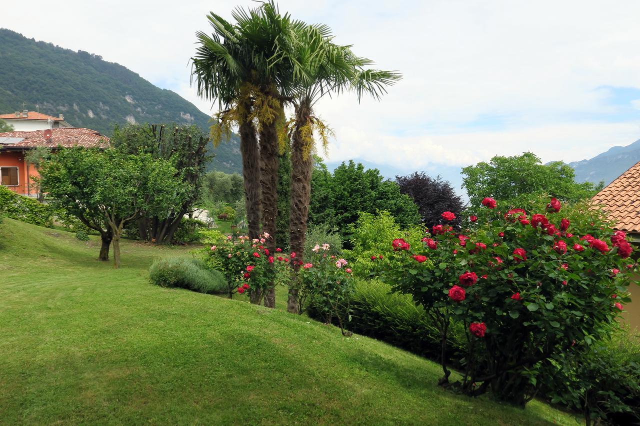 Bellagio Lake View Villa Oliveto Lario Bagian luar foto