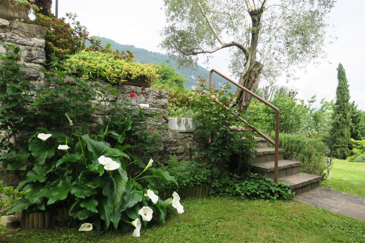 Bellagio Lake View Villa Oliveto Lario Bagian luar foto