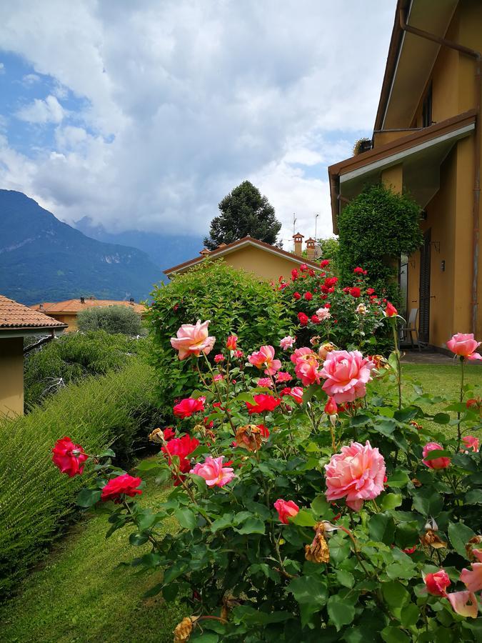 Bellagio Lake View Villa Oliveto Lario Bagian luar foto