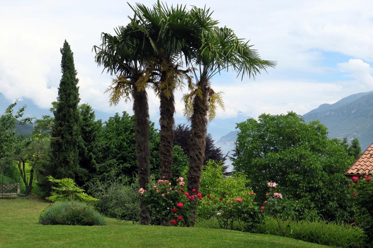 Bellagio Lake View Villa Oliveto Lario Bagian luar foto